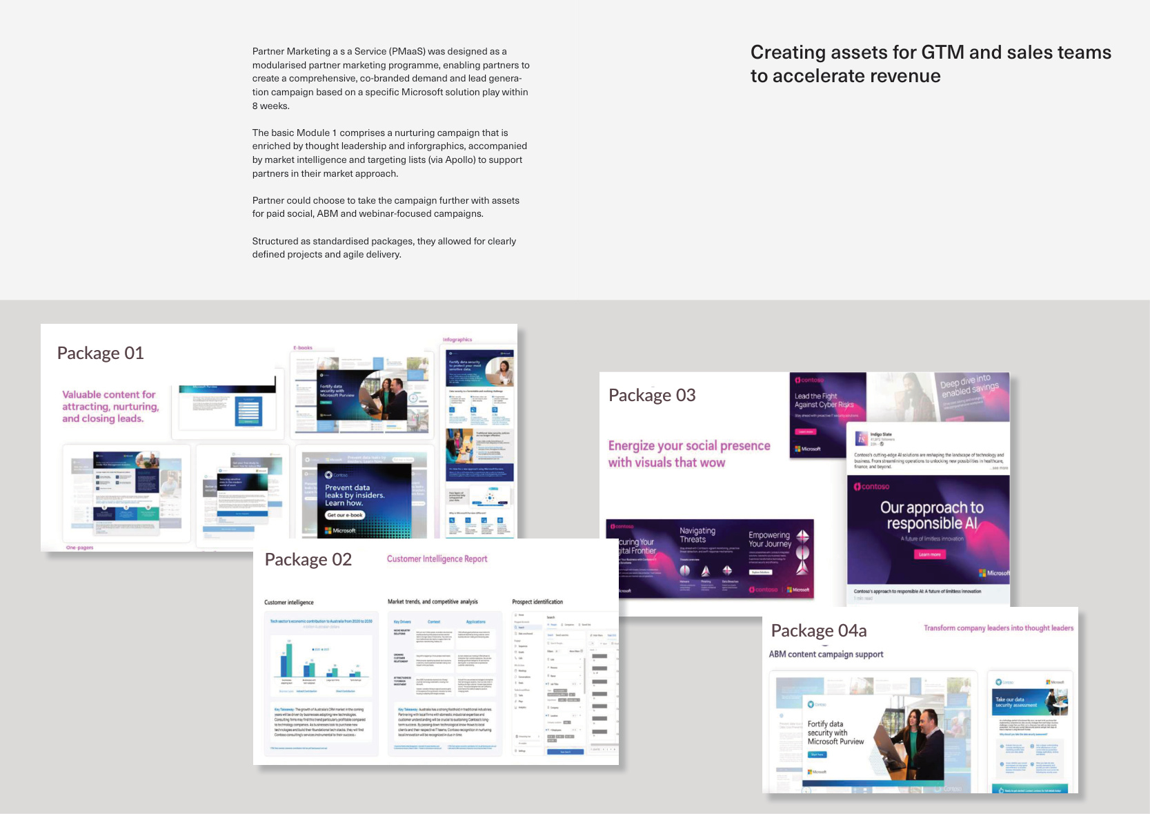 Partner Marketing as a Service campaign packages