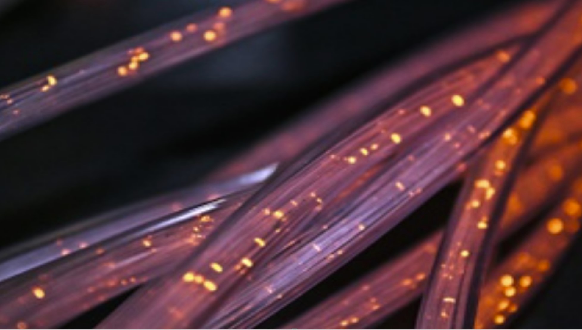 Glowing fiber optic cables with amber light points on a dark background